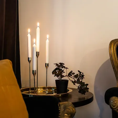 Penthouse Grand Oak By Elys Collection